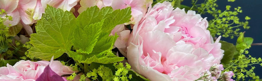 Bouquet Hortensia de saison