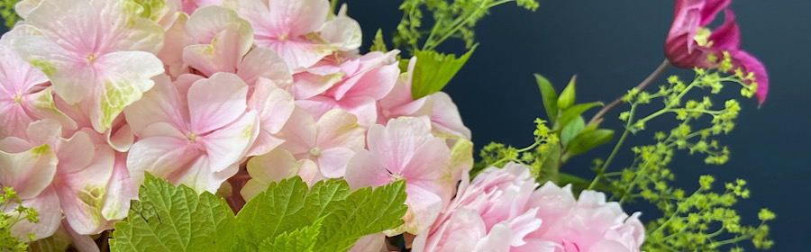 Hortensia et Fleur de saison