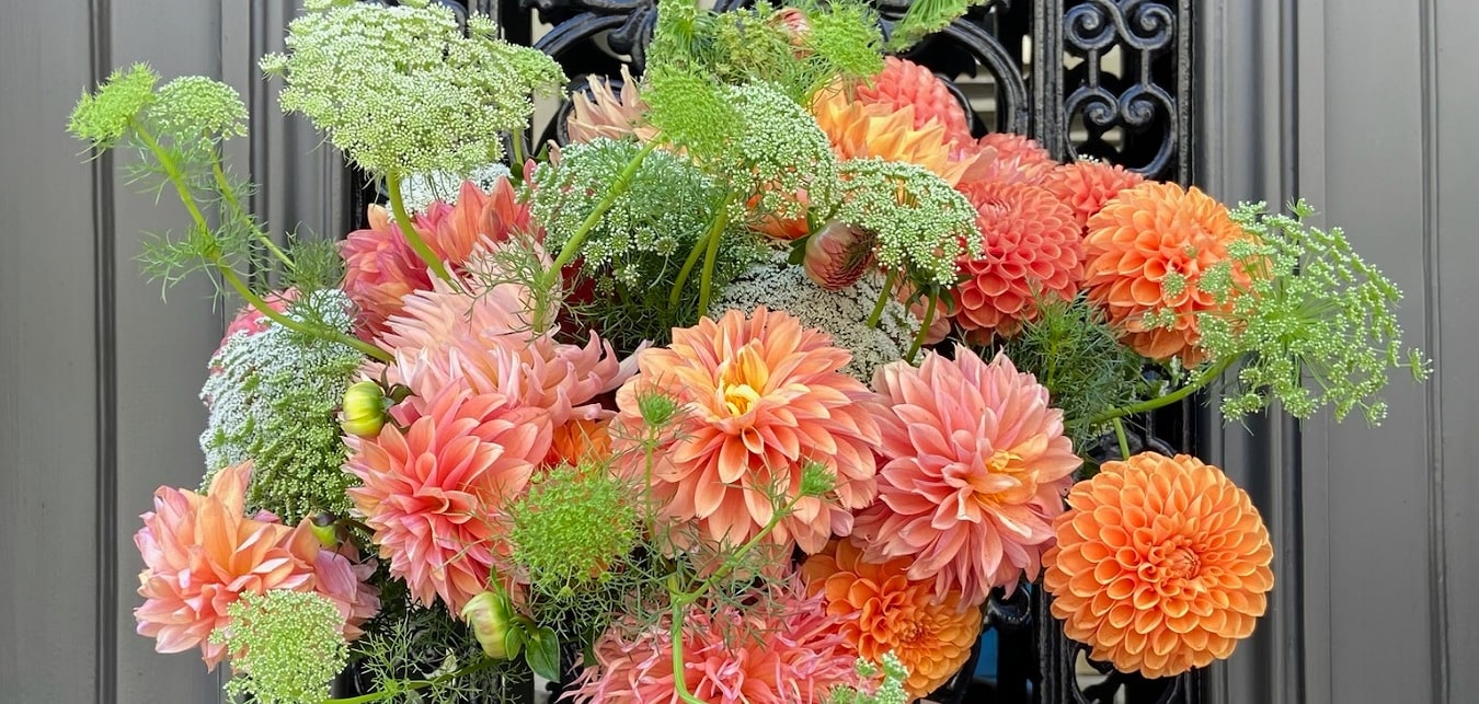 Bouquet de fleurs de saison Dahlias