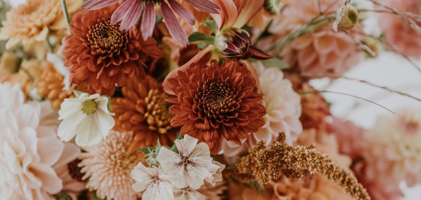 Fleurs pour bouquet de luxe en automne