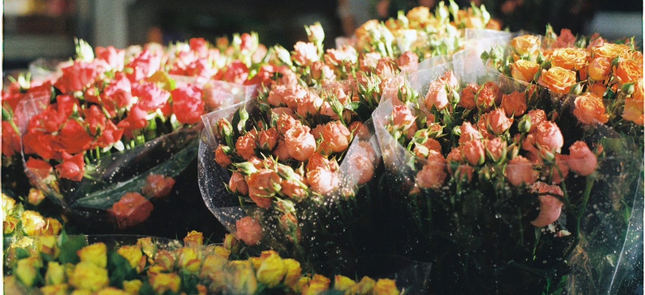 différences entre des fleurs françaises et des fleurs importées